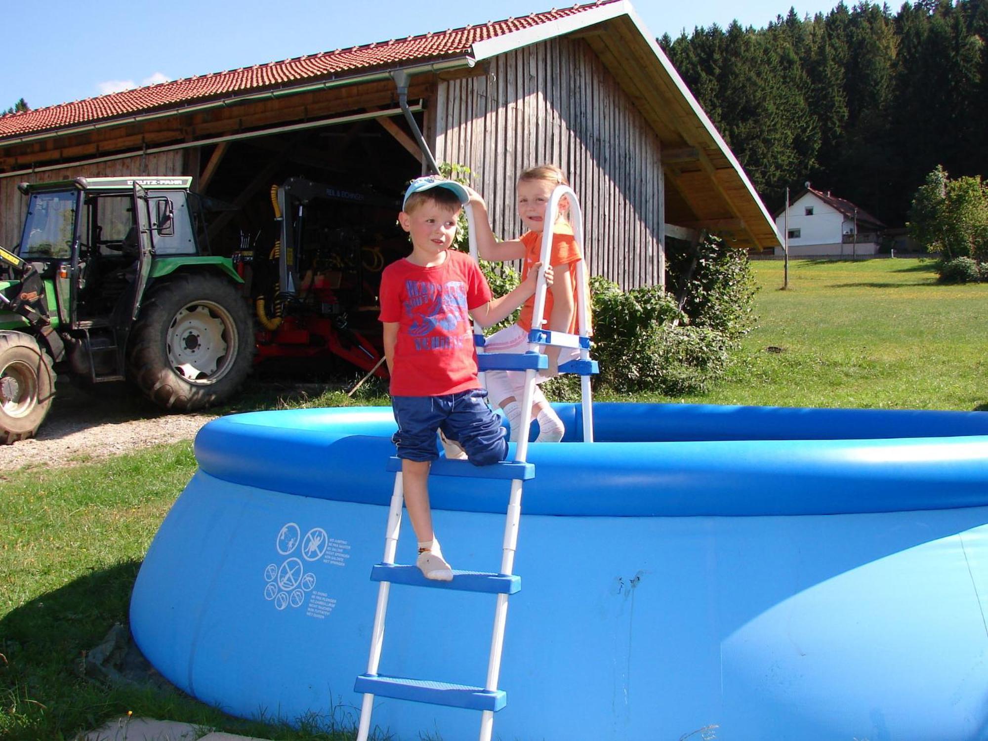 Flat On A Farm Near The Arber Ski Area Neukirchen beim Heiligen Blut Exteriör bild