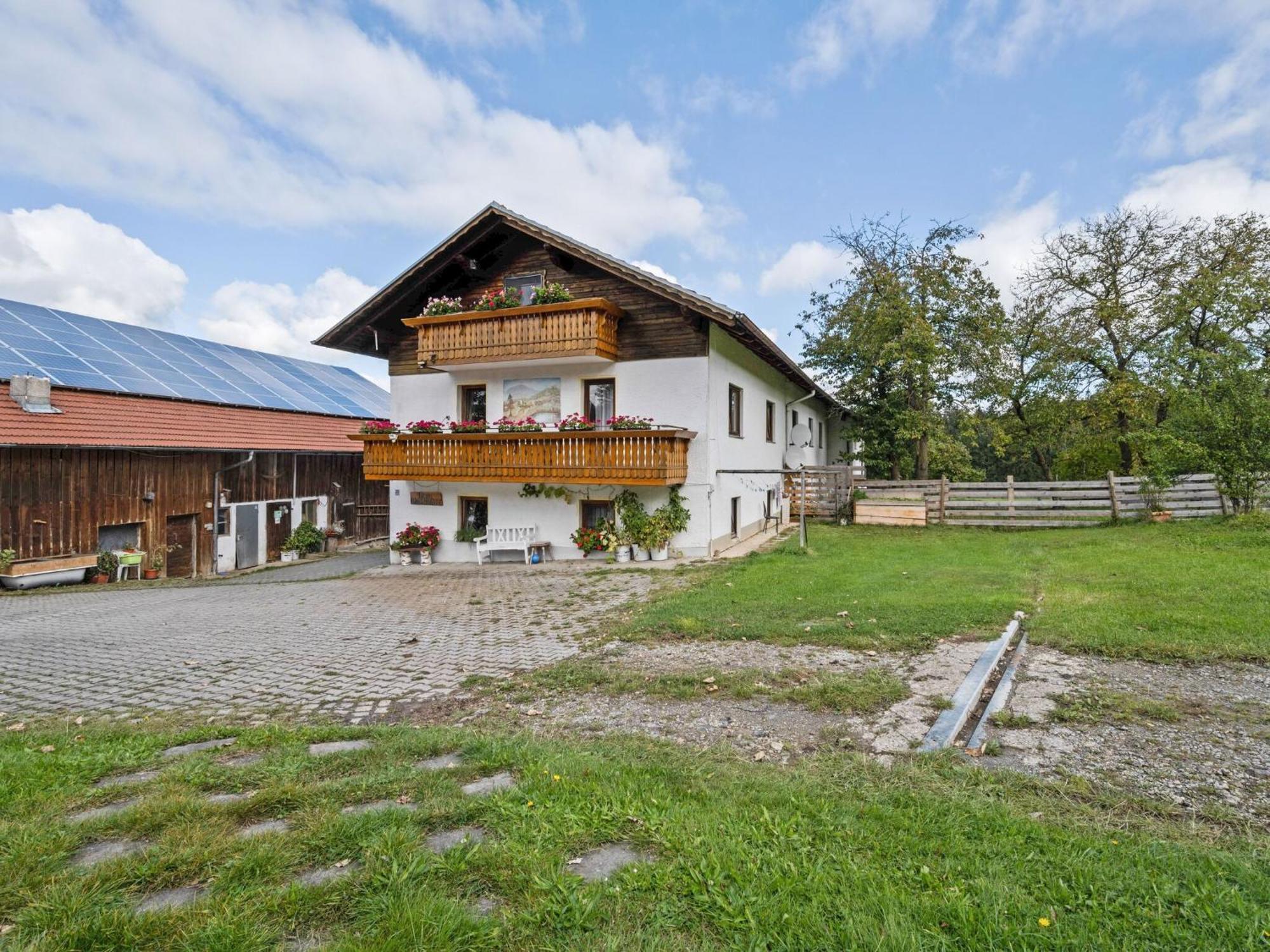 Flat On A Farm Near The Arber Ski Area Neukirchen beim Heiligen Blut Exteriör bild