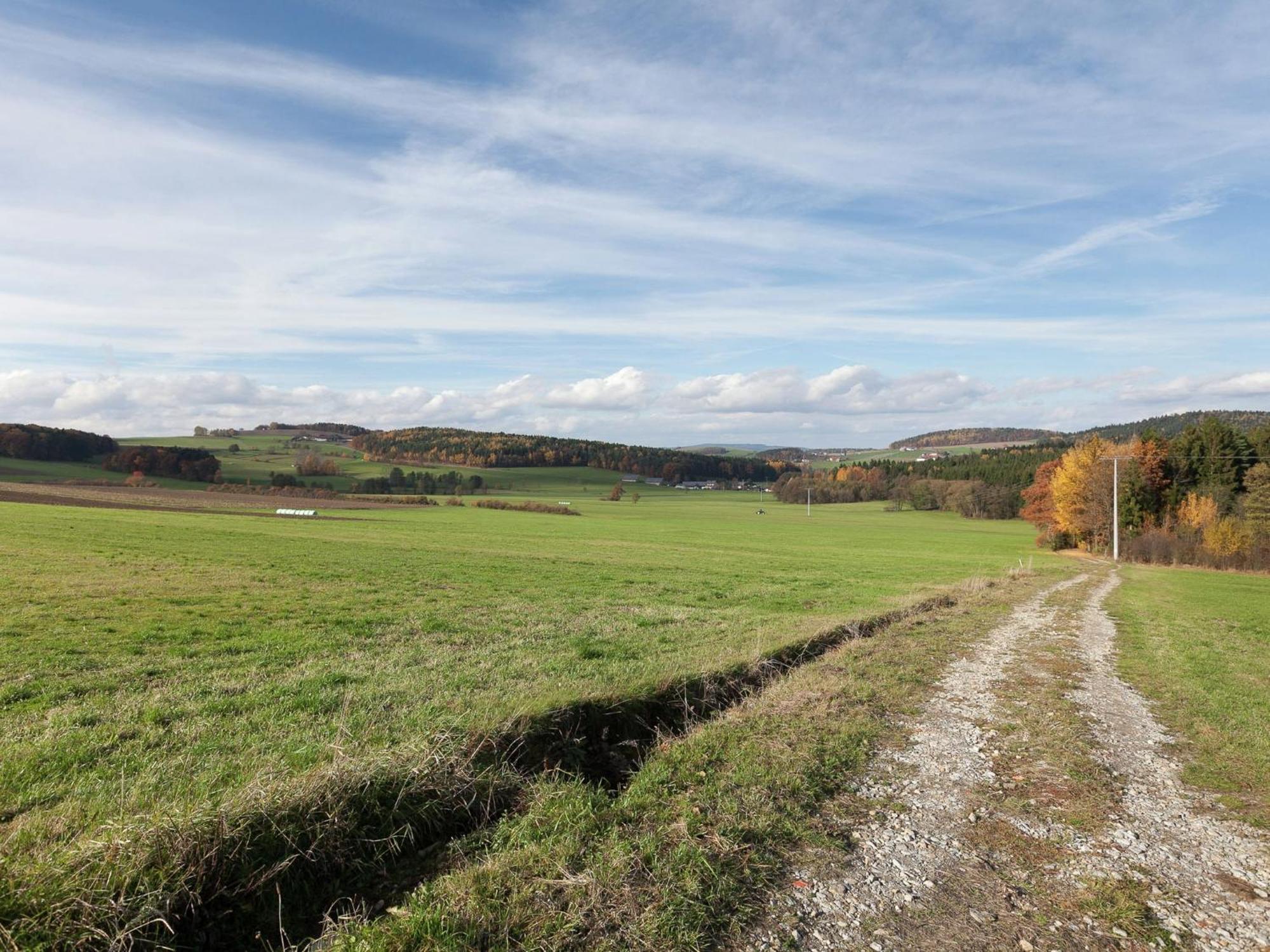 Flat On A Farm Near The Arber Ski Area Neukirchen beim Heiligen Blut Exteriör bild