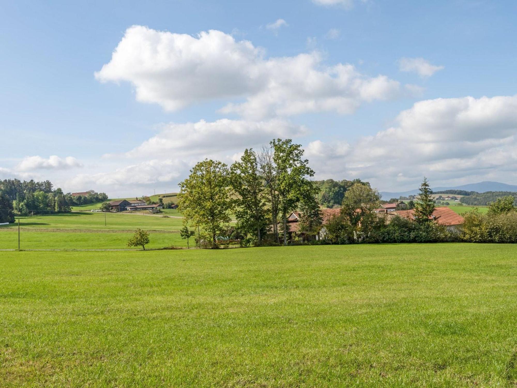 Flat On A Farm Near The Arber Ski Area Neukirchen beim Heiligen Blut Exteriör bild